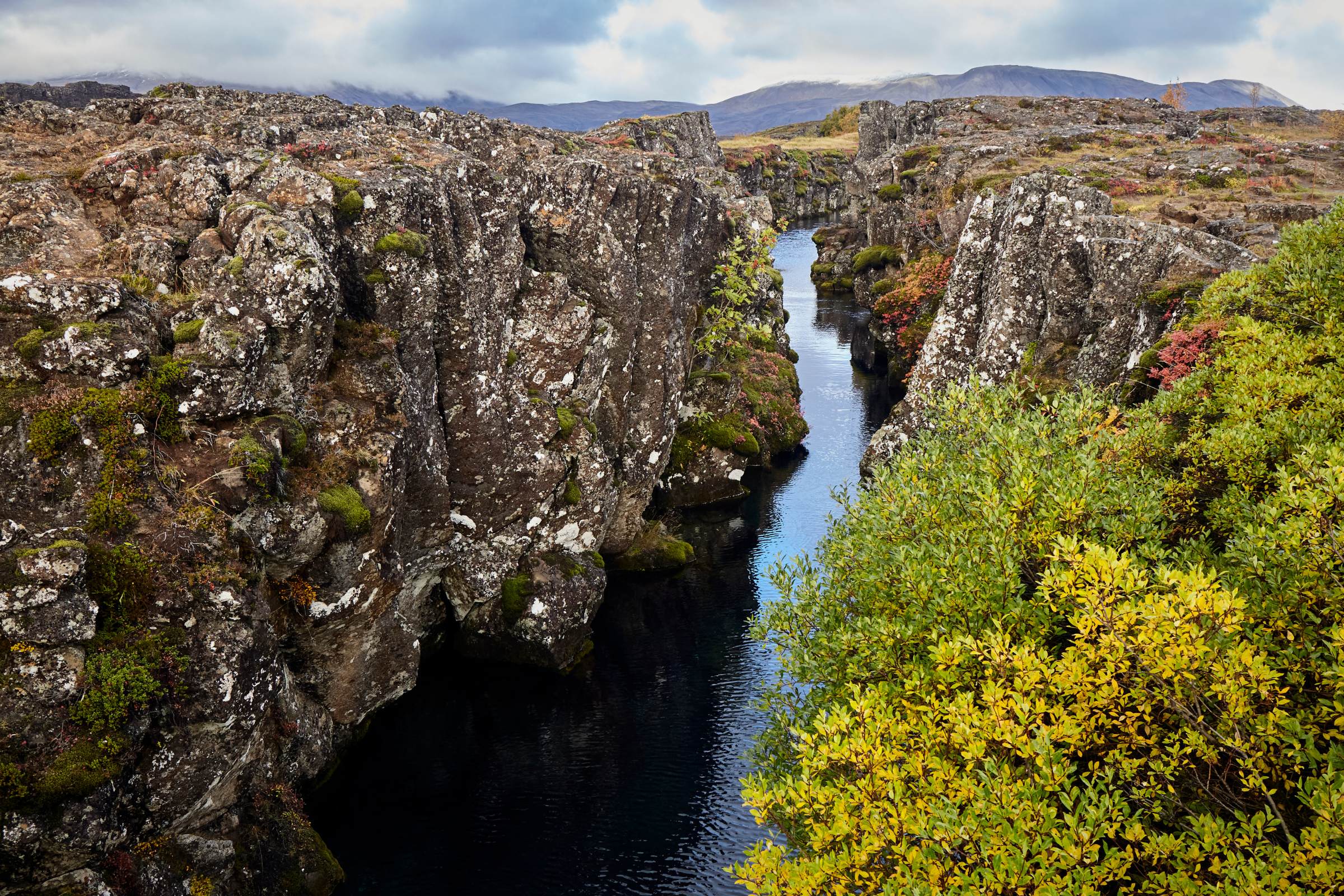 thingvellir national park (4).webp